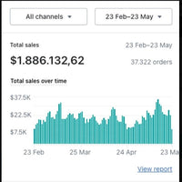 🔵 Paquete Pro – “Tienda Shopify Optimizada”